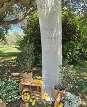 Fiore Di Ma'Trimoniu image 14