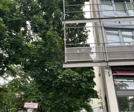 Baumpflege Reinhold Bild 1