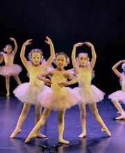 LA ZONE A DANSER image 12
