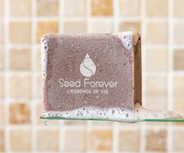 SEED FOREVER image 9
