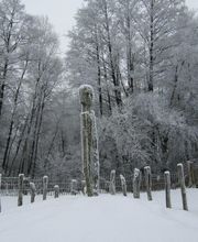 Hotel am Waldbad Bild 1