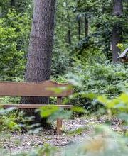 FriedWald Oberau Bild 7