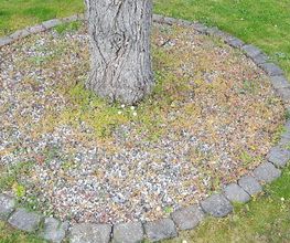 Schäfer Haus- und Gartenservice Bild 12