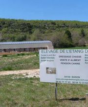 Elevage de L'étang Du Vert image 1