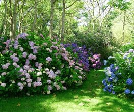 Bernet Gartenbau AG Bild 1