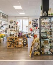 Panarotto SARL image 15