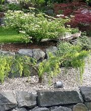 Gartengestaltung