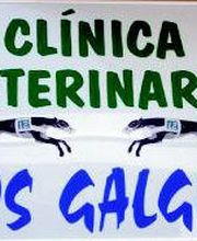 Clínica Veterinaria Los Galgos imagen 16