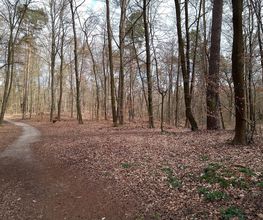 FriedWald Mühlenbecker Land Bild 3