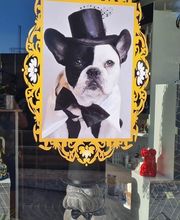 So My Dog Vergèze image 7