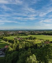 Kosche Immobilien e.K. - Immobilienmakler Bild 2
