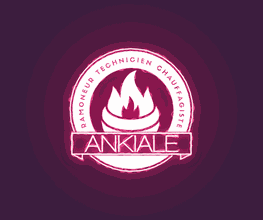 Ankiale image 3
