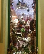 Le Paradis Fleuri image 11