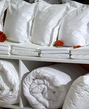 LOCA RECEPTION image 3