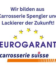 Ercolani Autospenglerei - Malerei AG Bild 11