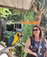 LuganoViaggi Sagl Bild 5