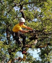 Horizon vertical image 8