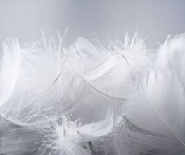 LOVELITERIE Royan image 3