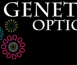 La Genette Optique image 2
