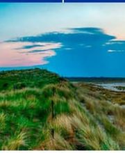 Dr.med.dent. Stefanie Koestner Bild 2