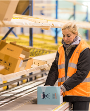 DIMOLOG (BSL DIMOTRANS Group) image 3