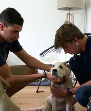 VetoAdom Sarl Bild 8