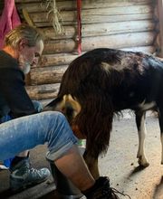 Stiftung Terra Vecchia, Stiftungssekretariat Bild 3