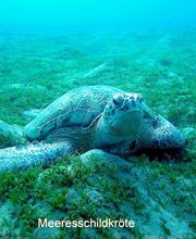 Tauchsport Wachowski Bild 2