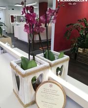 Coiffure Achhammer Bild 12