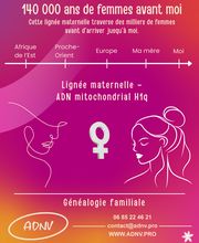 Séverine Dewarez image 15