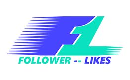 Follower-Likes Social Media Agentur