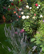 Bont Gartenbau und Gartenpflege AG Bild 9