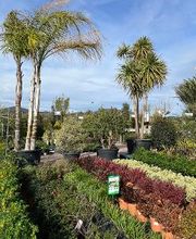 Villaverde Grimaud image 6