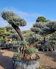 Crosnier Production image 1