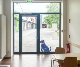 Medivet Tierarztpraxis Mannheim Bild 1
