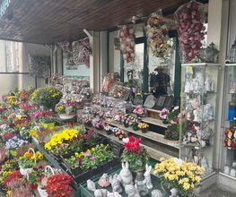 Pereira Rodrigues - Rodrigues Fleurs Bild 2