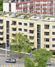 Zutter baumanagement GmbH Bild 1