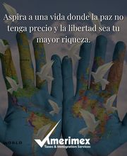 Amerimex Taxes & Immigration Services image 1