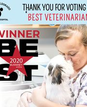 Highlands-Eldorado Veterinary Hospital image 8