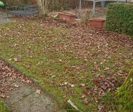 Hauswartung Bruderer Bild 2