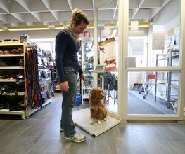 Lucky Pets GmbH Bild 4