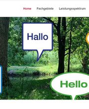 Bull Translation.png