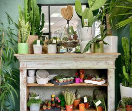 LE COMPTOIR DES FLEURS image 5