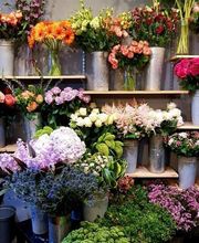 Il Etait Une Fleur image 2