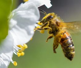apipodo GmbH Bild 4