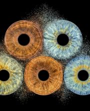 Studio Lichtwert Bild 13