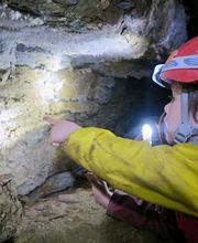 GECCO Aventure image 9