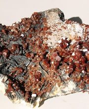 Roig Raymond image 12