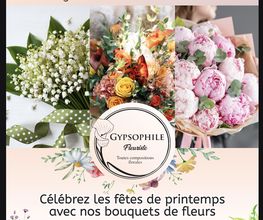 Gypsophile image 3