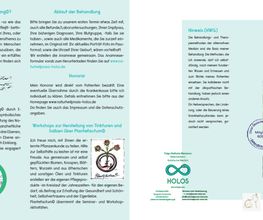 Flyer HOLOS A